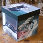 "My Cat in the Sun" keepsake box.