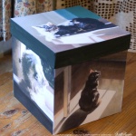 "My Cat in the Sun" keepsake box.
