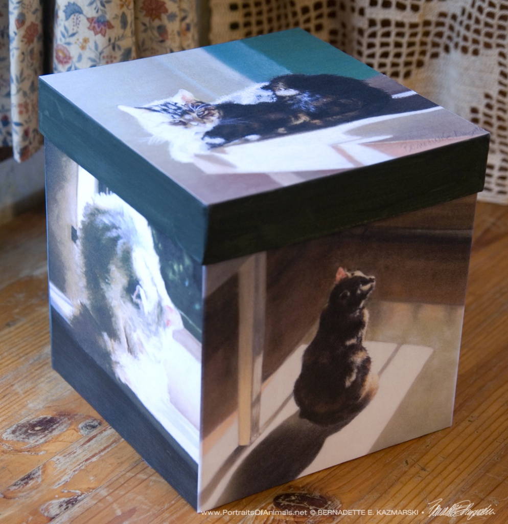 "My Cat in the Sun" keepsake box.