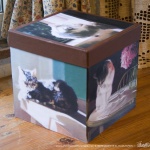 "Fine Art Cats" keepsake box.