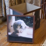 "Fine Art Cats" keepsake box.