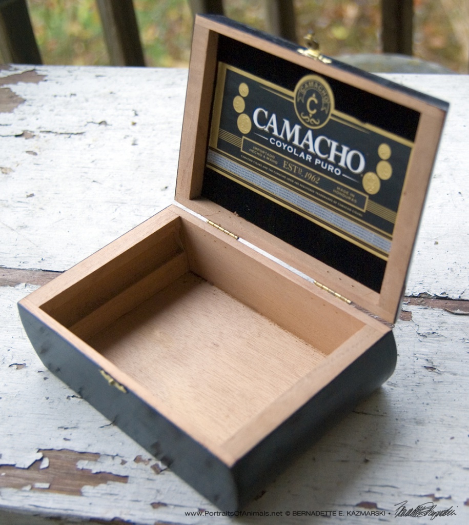 Inside of box.