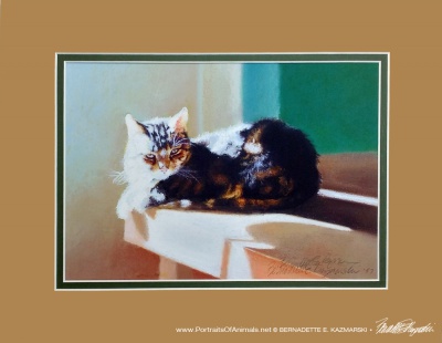 "After Dinner Nap" matted for the November Sampler Box