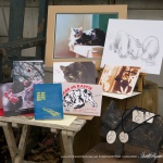 November 2016 Feline Sampler Box