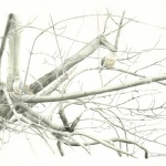 Biding Time, pencil, 15 x 21, 2002 © Bernadette E. Kazmarski