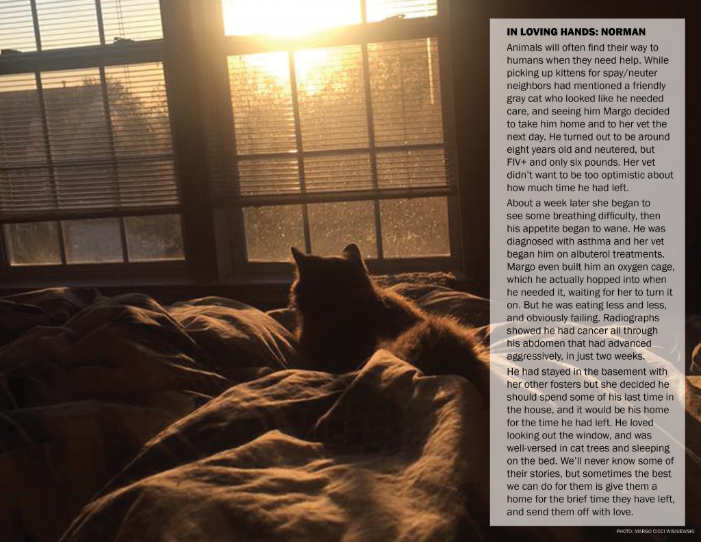 September photo and story.