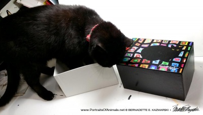 Mimi stands inside the box.