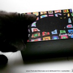 Mimi approves of this box.