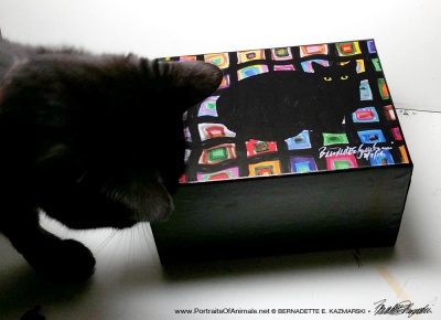 Mimi approves of this box.