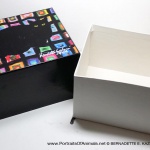 The gift box open.