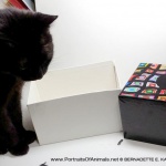 Mimi models the box when it's open.