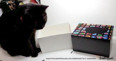 Mimi models the box when it's open.