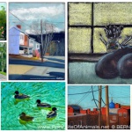 January 2017 30 Paintings in 30 Days Gallery