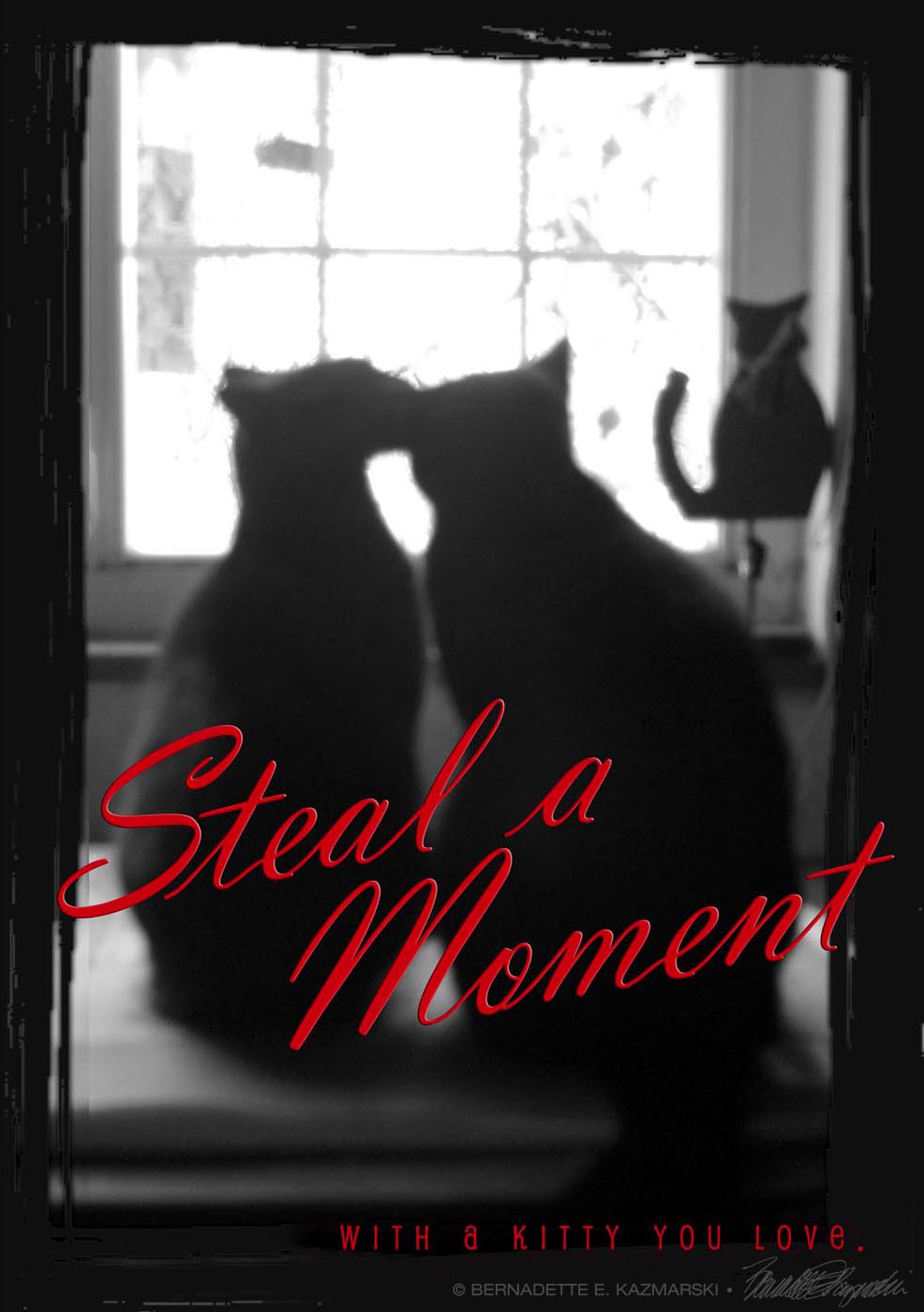 Steal a Moment With a Kitty You Love