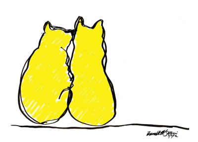 Two Yellow Cats everyday car.Two Yellow Cats everyday car.