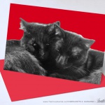 Nuzzles and Purrs Valentine.