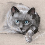 "Chloe", charcoal and pastel, 5 x 7 © Bernadette E. Kazmarski