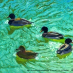 Sparkling Gems, pastel on Strathmore charcoal. pastel paper, 12 x 16 © Bernadette E. Kazmarski
