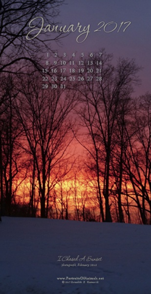 "I Chased A Sunset" desktop calendar, for 400 x 712 for mobile phones.