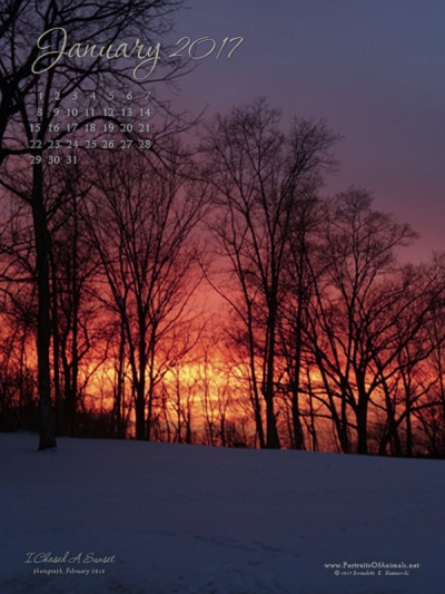 "I Chased A Sunset" desktop calendar, 600 x 800 for iPad, Kindle and other readers.