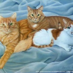 "The Love of Three Oranges", pastel, 17" x 23", 1994 © Bernadette E. Kazmarski