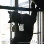 Then she tries out the ribbon.