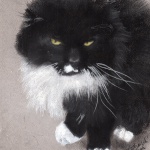 "Henry", cropped to fit size.