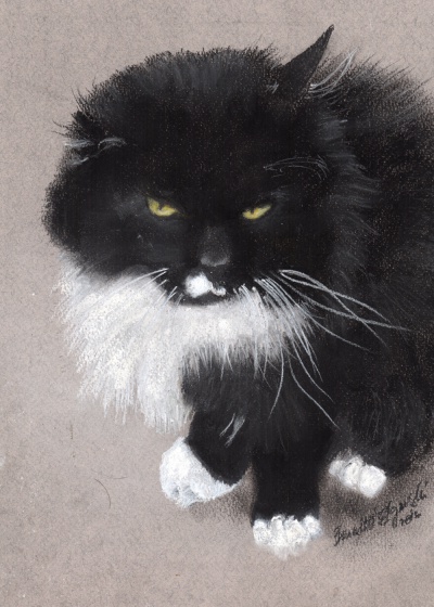 "Henry", cropped to fit size.