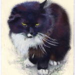 "Henry", pastel on smooth cream cotton board, uncropped.
