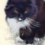 "Henry", pastel on smooth cream cotton board, 5" x 7" © Bernadette E. Kazmarski