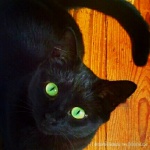 The Eyes Have It