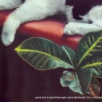 Detail of portrait, paws and plant
