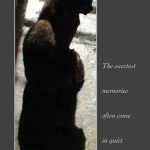 Kelly Twice Animal Sympathy Card
