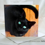 The Eyes Have It square card.