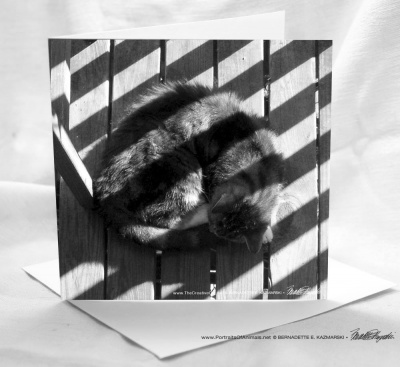 Square Card "Stripes on Stripe""