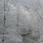 Frosted