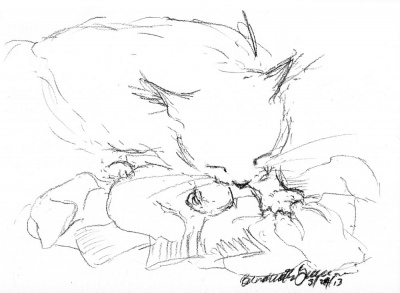 "A Pile of Socks", charcoal pencil, 9.5" x 7" © Bernadette E. Kazmarski