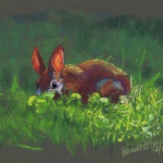 “Backyard Bunny”, soft pastels on pastello paper, 11″ x 8″ © Bernadette E. Kazmarski
