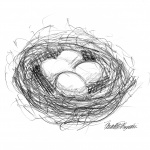 “Bird’s Nest”, pencil, 6″ x 6″, 2002 © Bernadette E. Kazmarski