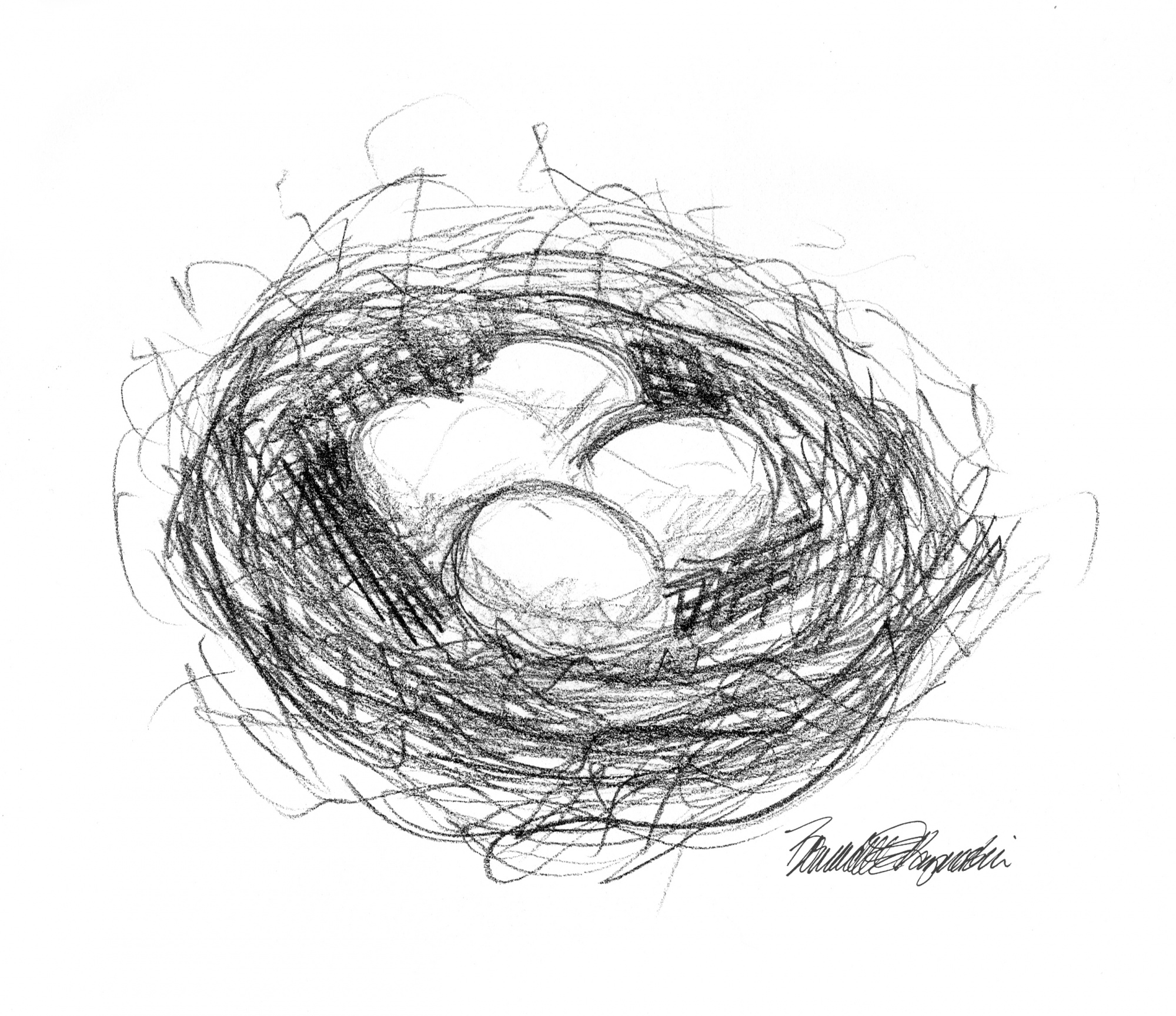 “Bird’s Nest”, pencil, 6″ x 6″, 2002 © Bernadette E. Kazmarski