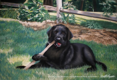 Buddy, pastel, 23 x 15.5, 2009 © Bernadette E. Kazmarski