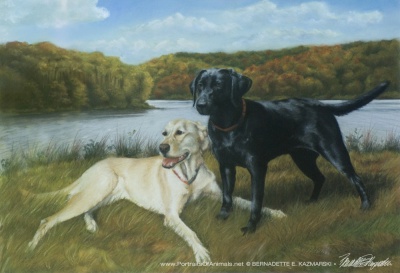 Ready for the Rescue pastel, 15 x 22, 1994 © Bernadette E. Kazmarski