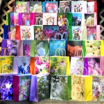 Flower-themed gift bags.