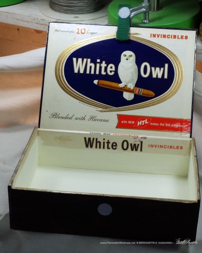 A Warm Bath keepsake, inside.