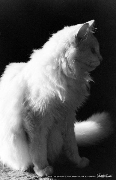 Sally Profile