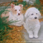 "Being Very Good", pastel, 12 x 18, 2007 © Bernadette E. Kazmarski