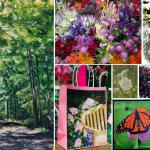 Summer 2017 Nature & Wildlife Sampler Box