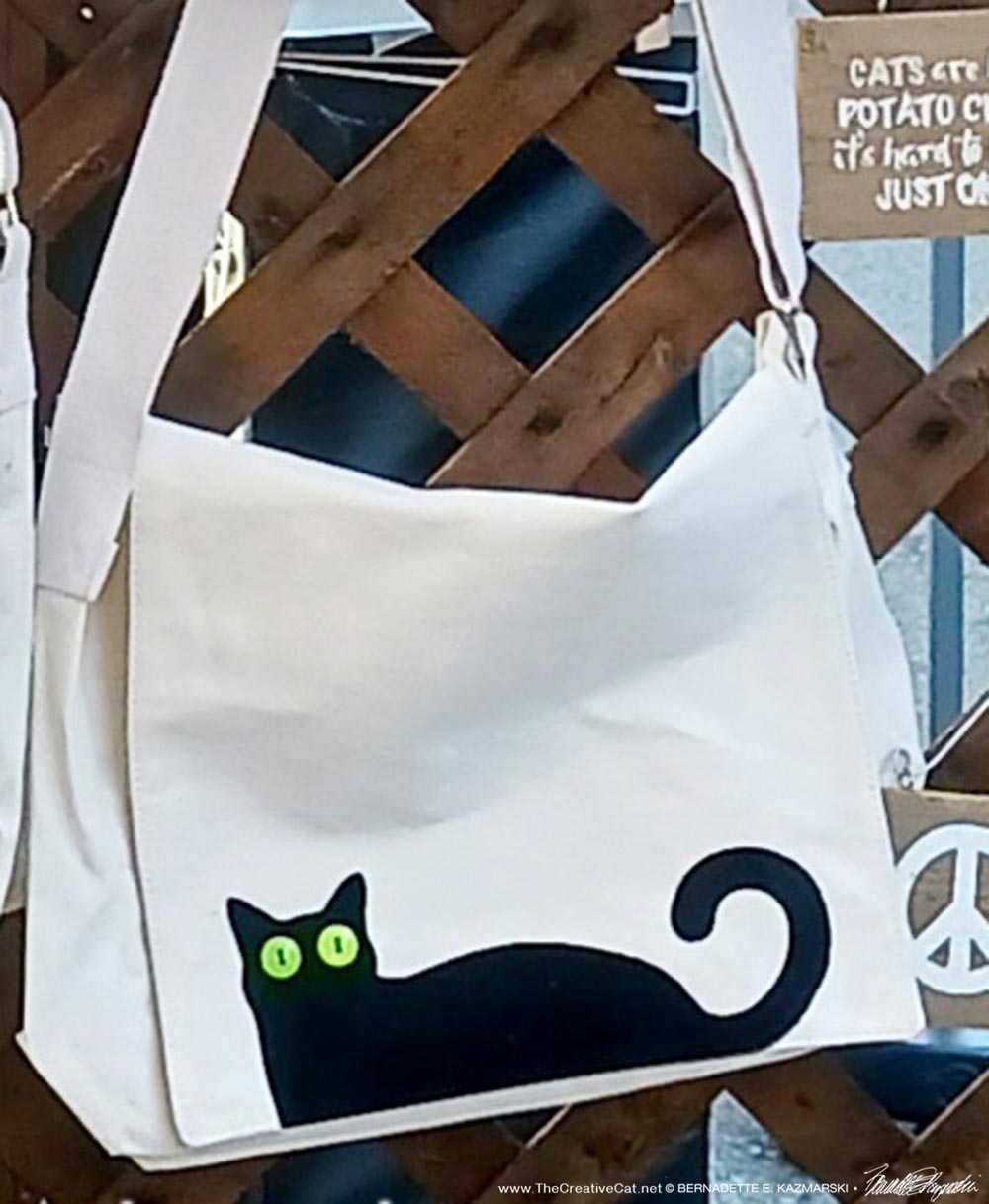 Bella! Messenger bag style