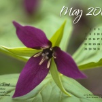 Desktop calendar, 1280 x 1024 for square and laptop monitors.