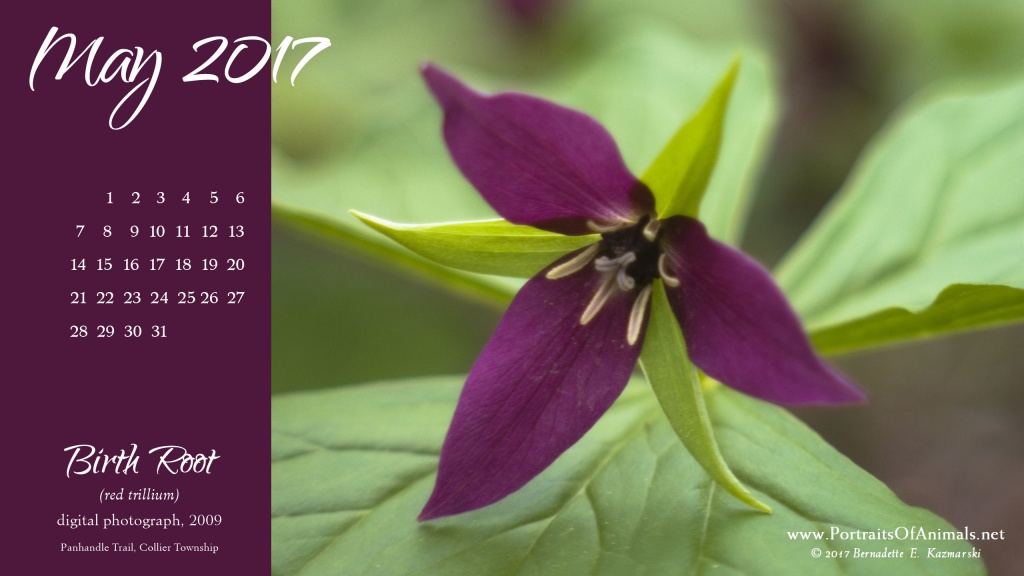 Desktop calendar 2560 x 1440 for HD and wide screens.